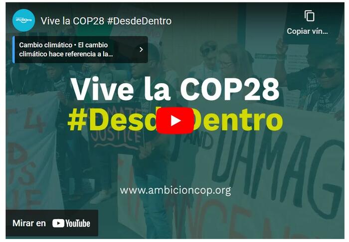 Vive la COP28 #DesdeDentro