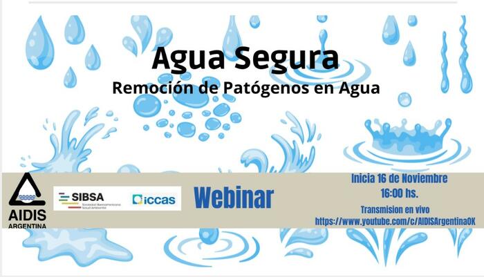 WEBINAR AGUA SEGURA - REMOCION DE PATOGENOS EN AGUA