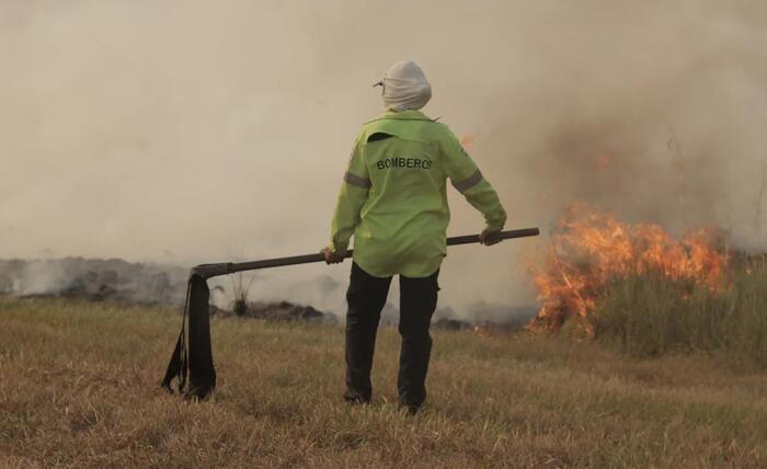 Humedales: radiografía de un hábitat en peligro de extinción y las razones que impulsan una ley en la Argentin