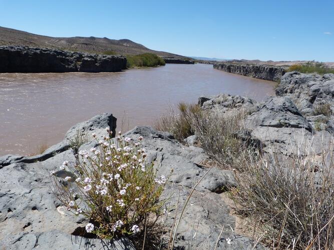 Información para la gestión integral del agua en la cuenca del río Colorado