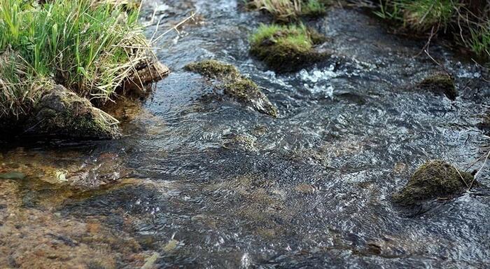 Las 100 principales cuestiones sobre la gestión del agua en el mundo para la próxima década