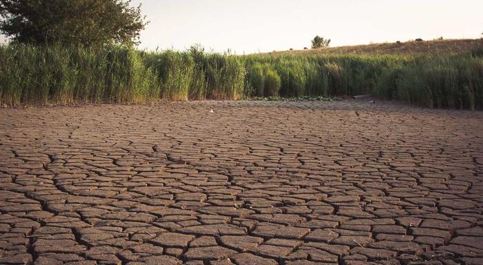 Día Mundial de la Lucha contra la Desertificación y la Sequía 2022: Superando juntos las sequías