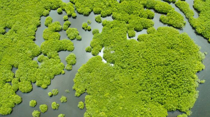 Mejorar la protección de los ecosistemas de agua dulce: un proyecto piloto hacia el ODS 6.6.1,