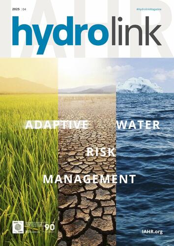 NEW! Special Issue on Adaptive Water Risk Management
